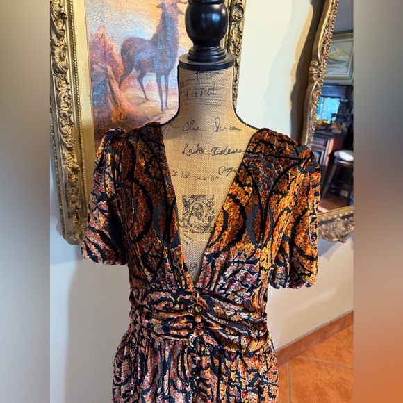 NWT The Katerina Button-front Dress: Velvet Edition - Picture 12 of 16